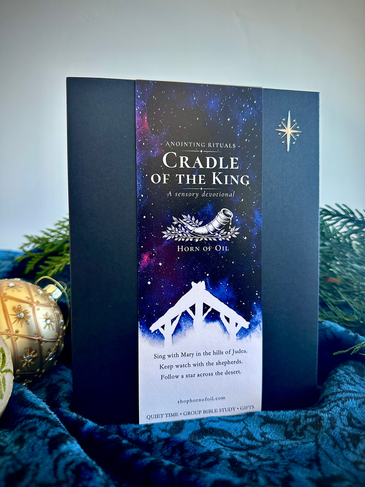 Cradle of the King PRE-ORDER: ships November 10