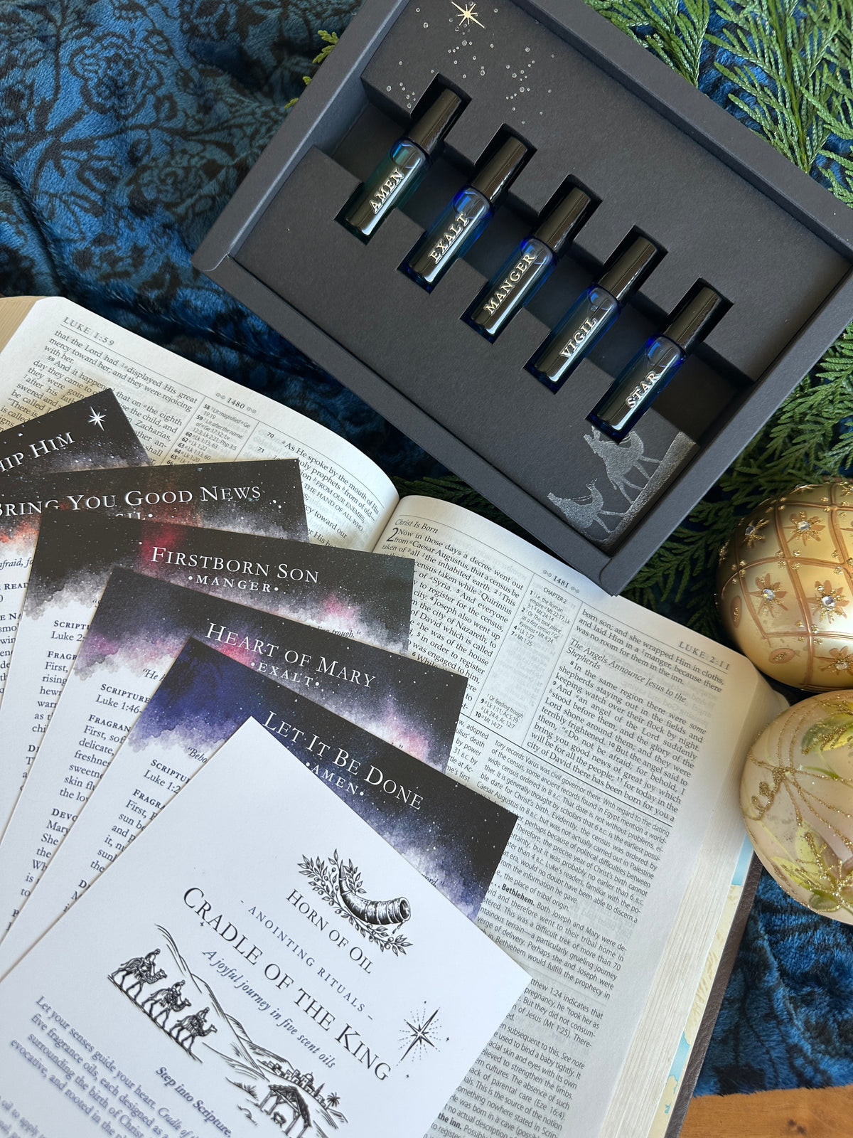 Cradle of the King PRE-ORDER: ships November 10